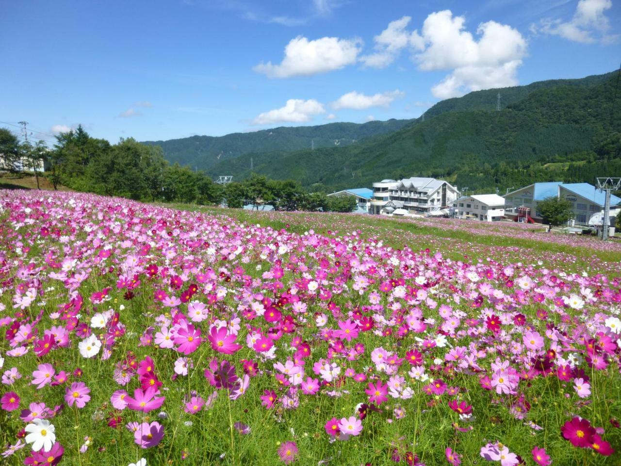 Joyful Honoki Hotel Takayama  Bagian luar foto